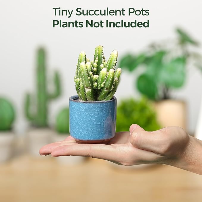 T4U 2.5 Inch Small Ceramic Succulent Planter Pot with Drainage Hole Set of 6, Ice Crack Glaze Plant Container for Cactus, Succulent Plant Gifts for Women Mom Aunt Home Office Decor