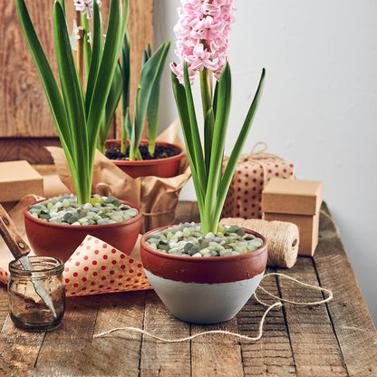 5LB Succulent Jade Pebbles, 3/8 Inch Natural Decorative Polished Stones, River Rocks for Vase, Flowerpot, Indoor and Garden Decoration