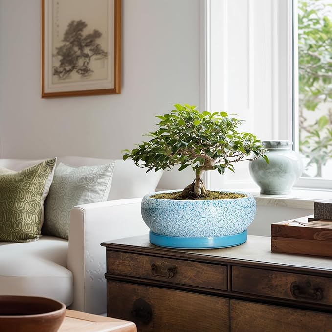Bonsai Pots 10 Inch - Shallow Ceramic Planters for Indoor Outdoor, Succulent Pots with Drainage Hole and Saucer, Round Planter Bowl, Succulent Planter, Garden Decor, Housewarming Gifts, Blue