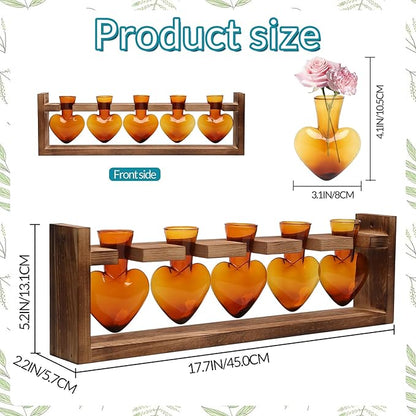 Plant Terrarium Hanging Propagation Stations Gift for Women Air Plants Holder with Wooden Stand Heart Glass