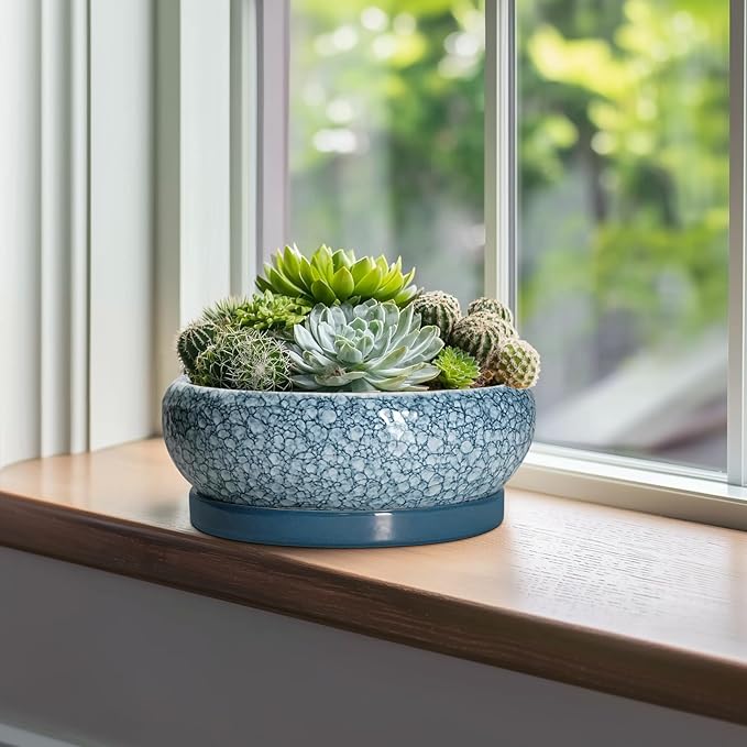 Bonsai Pots 10 Inch - Ceramic Succulent Planters with Drainage Hole and Saucer, Succulent Pots for Indoor Outdoor, Shallow Flower Pot, Round Planter, Patio Decor, Housewarming Gifts, Blue