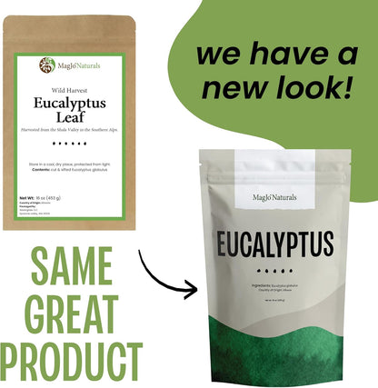 MagJo Naturals Dried Eucalyptus Leaf Cut & Sifted (16 Oz) Herbal Tea, Packaged in the USA with Resealable Bag