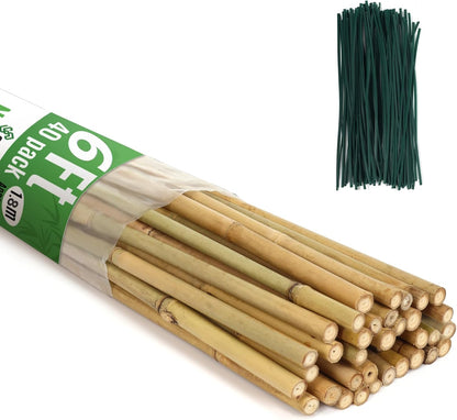 SWANGSA 40 Pack Bamboo Stakes for Plant 6 Feet,Bamboo Sticks Garden Plant Support Stakes Poles with 200pcs Twist Ties for Tomatoes, Beans, Flowers, Trees, Indoor and Outdoor Climbing Plants
