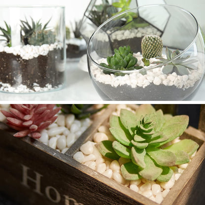 GASPRO 10 lbs White Pebbles for Plants, Vases, and Landscaping in Garden - Highly Polished 3/8" Small Rocks for Indoor and Outdoor Decor