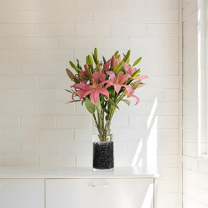 Mr. Fireglass 5 lbs Black Pebbles, 3/8" Natural Decorative Polished River Rocks Aquarium Gravel for Indoor Plants, Vases, Succulents and Outdoor Garden Landscaping