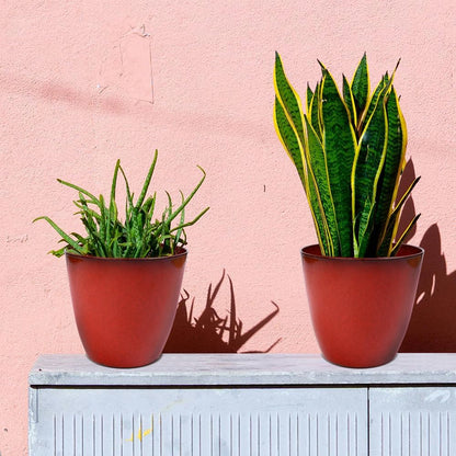 3Pack Plant Pots Durable Decorative Flower Pots,6 Inch Planter Set for Indoor and Outdoor Plants,Flowers,Succulents (Red)