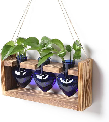 Plant Terrarium Propagation Stations Hydroponics Home Garden Decoration Gift for Women with Wooden Stand Heart Shaped Colored Glass Vase