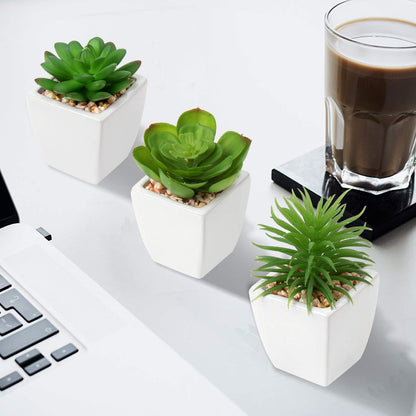 Hollyone Succulents Plants Artificial 3Pcs Small Fake Succulents in Pots Faux Plastic Potted Plants with White Ceramic Pot for Home Decor Classroom Office Bathroom Shelf Indoor & Outdoor Decorations