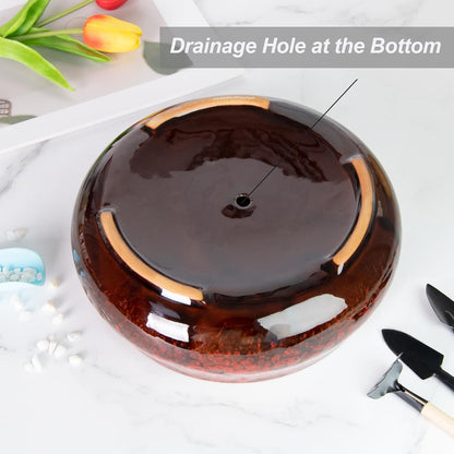 ARTKETTY Succulent Pots - 8 Inch Plant Pot, Large Bonsai Pots with Drainage, Ceramic Planters for Indoor Outdoor Plants, Round Shallow Cactus Flower Plant Container Bowl Decorative Home Garden