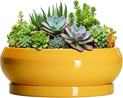 Succulent Pots 10 Inch - Ceramic Bonsai Pots with Drainage Hole and Tray, Shallow Plant Pot Indoor Outdoor, Modern Bonsai Tree Pot, Round Planter Bowl, Home Decor, Housewarming Gift, Yellow