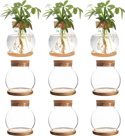 Plant Propagation Station,Hydroponic Glass Container Vase Jars, with Wooden Saucer for Desks, Houses, Garden Decorations, Home Kitchen Decorations and Gifts for Plant Lovers (9)