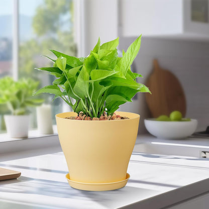 6 inch Plastic Nursery Pots, 16 Pack Plant Pots for Small Indoor Outdoor Plants, Flower Pots with Drainage Holes and Saucers, Decorative Seedling Starter Planters for House Plants, Colorful