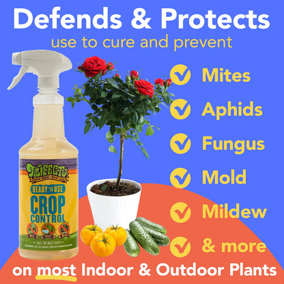 Trifecta Crop Control Insecticidal Soap for Plants | All Natural Fungicide for Plants | Spider Mite Killer Indoor Plants, Food Safe Pesticide, Herbicide, Spider Mites Spray for Plants (32oz - 2 Pack)