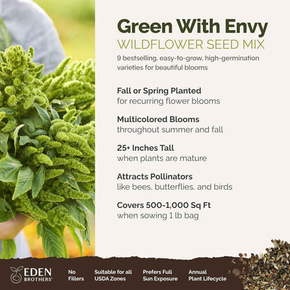 Eden Brothers Green with Envy Flower Mixed Seeds for Planting, 1 lb, 480,000+ Seeds with White Yarrow, Cornflower White | Attracts Pollinators, Plant in Spring or Fall, Zones 3, 4, 5, 6, 7, 8, 9, 10