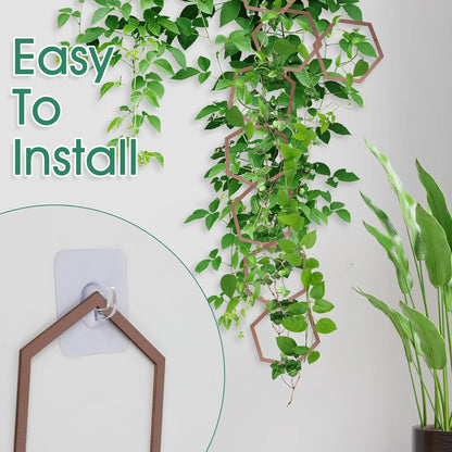 20pcs Chain Trellis for Climbing Plants, HSSZXFR DIY Plant Climber Support for Vines and Garden Wall Trellis, Indoor and Outdoor Accessories for Monstera Pothos Ivy Flower (Hexagonal)