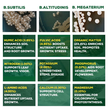 Organic Liquid Plant Food for Indoor Plants & Gardens, Natural NPK Fertilizer w/Beneficial Microbes, Rapid Results, Vegan, Best Value Super Concentrate, Smart Grower, Makes 40 Gallons (8 Fl Oz)