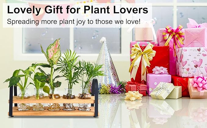 Plant Propagation Station with Wood Stand, Desktop Terrarium for Hydroponic, Flower Vase for Home, Kitchen, Office Decor, Plant Lover Gifts