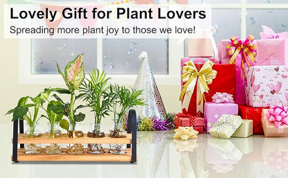 Plant Propagation Station with Wood Stand, Desktop Terrarium for Hydroponic, Flower Vase for Home, Kitchen, Office Decor, Plant Lover Gifts