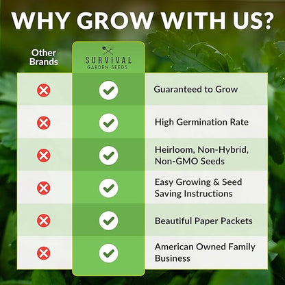 All The Year Round Lettuce Seed for Planting - 2 Packets with Instructions to Plant & Grow Adaptable Salad Greens in Your Home Vegetable Garden - Non-GMO Heirloom Variety - Survival Garden Seeds