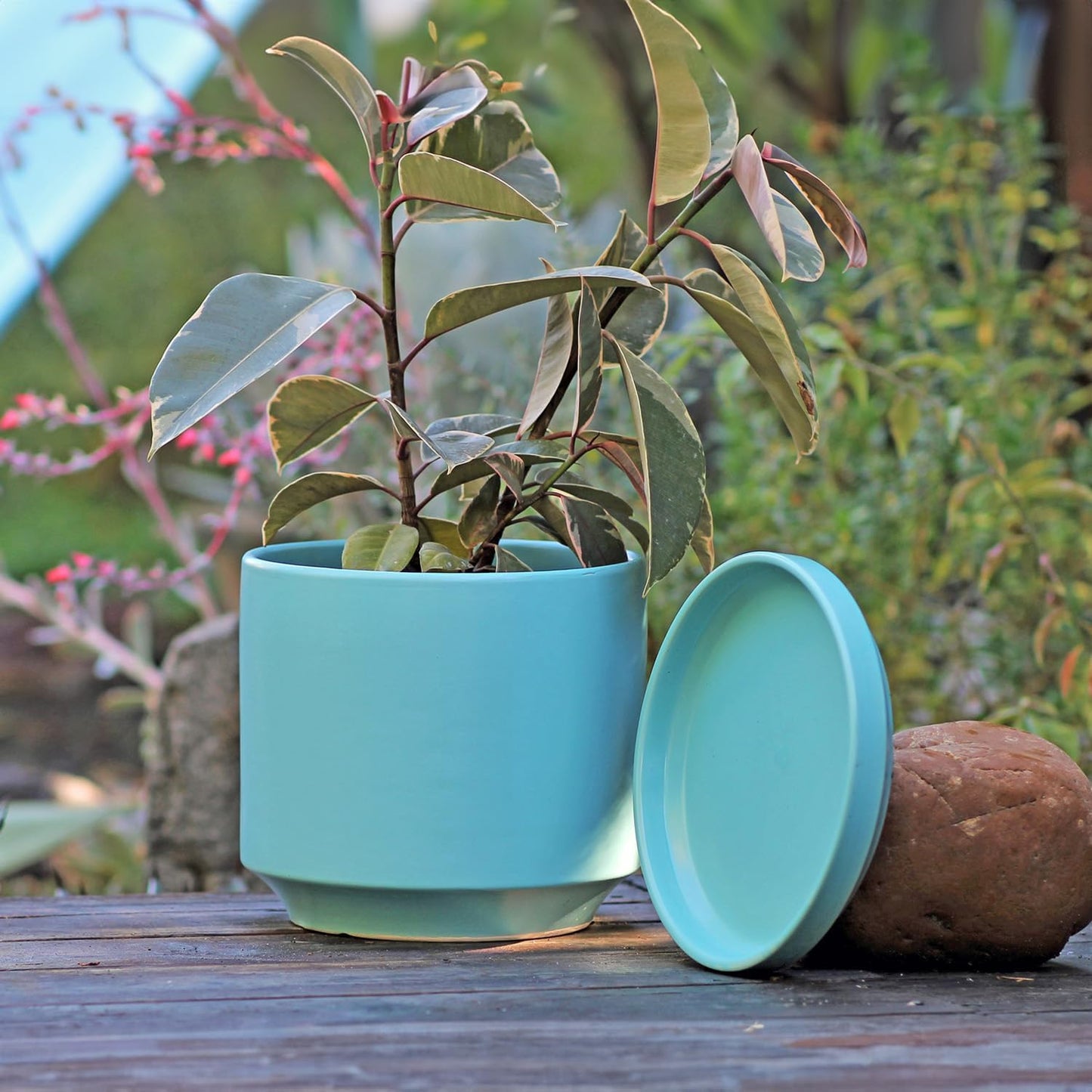 Ceramic Mid Modern Planter Pots with Detached Saucer - Indoor/Outdoor Plant Pots with Drainage Hole