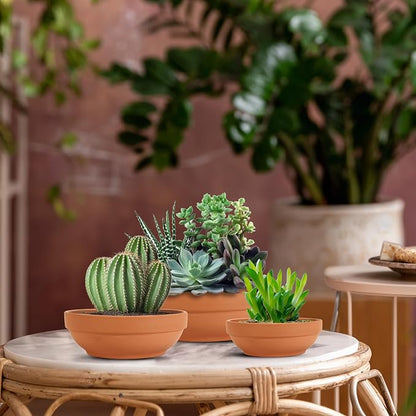 Laergin Terra Cotta Pots, 6.43 Inch Shallow Terracotta Clay Pots with Drain Hole Terra Cotta Plant Pot with Drainage Hole for Indoor/Outdoor Plants, 6 Pack