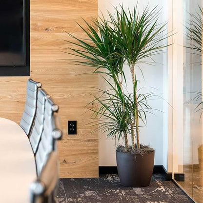 Memphis 15" Round Indoor Floor Planter Pot – Lightweight & Durable Plastic, Modern Design, Made in USA, Recyclable Large Plant Container for Home & Office Décor (Charcoal Meta