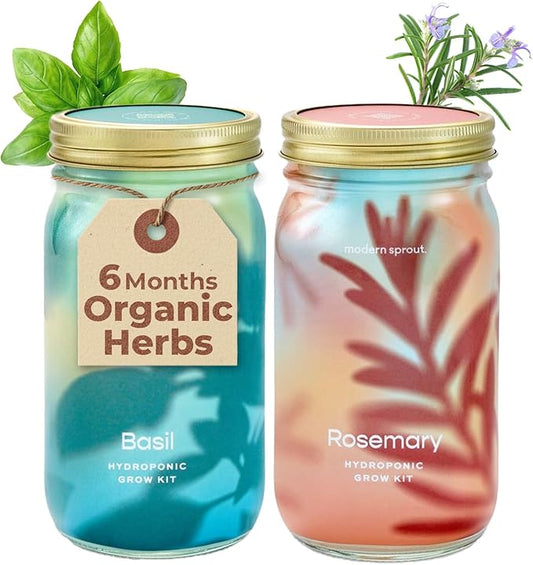 Modern Sprout Mason Garden Jar - Self-Watering Hydroponics Growing System Kit with Organic Herb Seeds - Jar Planter for Indoor Herb Garden - Seed Starter Kit - Home Decor & Gifting - Basil+Rosemary