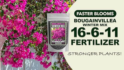 Fertilizer Commercial Grade | Bougainvillea Winter Mix 16-6-11 | 3 Pounds | Custom Professional Mix | Cold-Season Bloom Formula | Controlled Release Nutrition | Micronutrients | Vivid Color & Growth