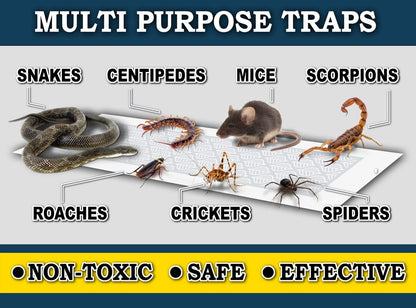 MaxGuard Glue Trap Strips (24 Traps) Non-Toxic Extra Sticky Glue Board Pre-Baited with Fruity Scent Attractant Trap & Kill Insects, Bugs, Spiders, Crickets, Scorpions, Cockroaches, Centipedes, Mice