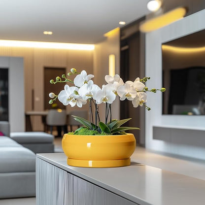 Succulent Pots 10 Inch - Ceramic Bonsai Pots with Drainage Hole and Tray, Shallow Plant Pot Indoor Outdoor, Modern Bonsai Tree Pot, Round Planter Bowl, Home Decor, Housewarming Gift, Yellow