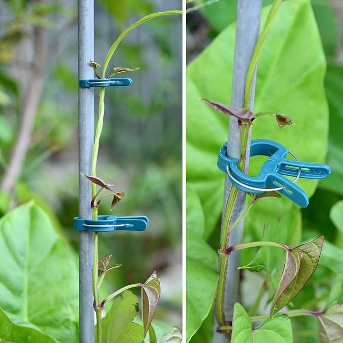 60PCS Plant Clips 2 Sizes Adjusting Reusable Garden Plant Supports Clips for Supporting Stems of Flower Vine Vegetables Tomatoes Climbing