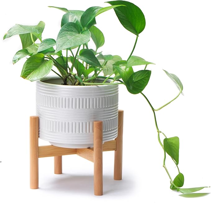 Kurrajong Farmhouse White Plant Pot with Stand | 7.25" Ceramic Planter Pot for Indoors | Wood Plant Stand with Pot. Plant not Included | White Planter Pot is 7.25" Wide x 5.75" high