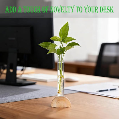 Desktop Glass Plant Propagation Station with 1 Tubes and Wooden Stand - Hydroponic Plant Cuttings Holder for Office Desk, Home Decor, Terrarium