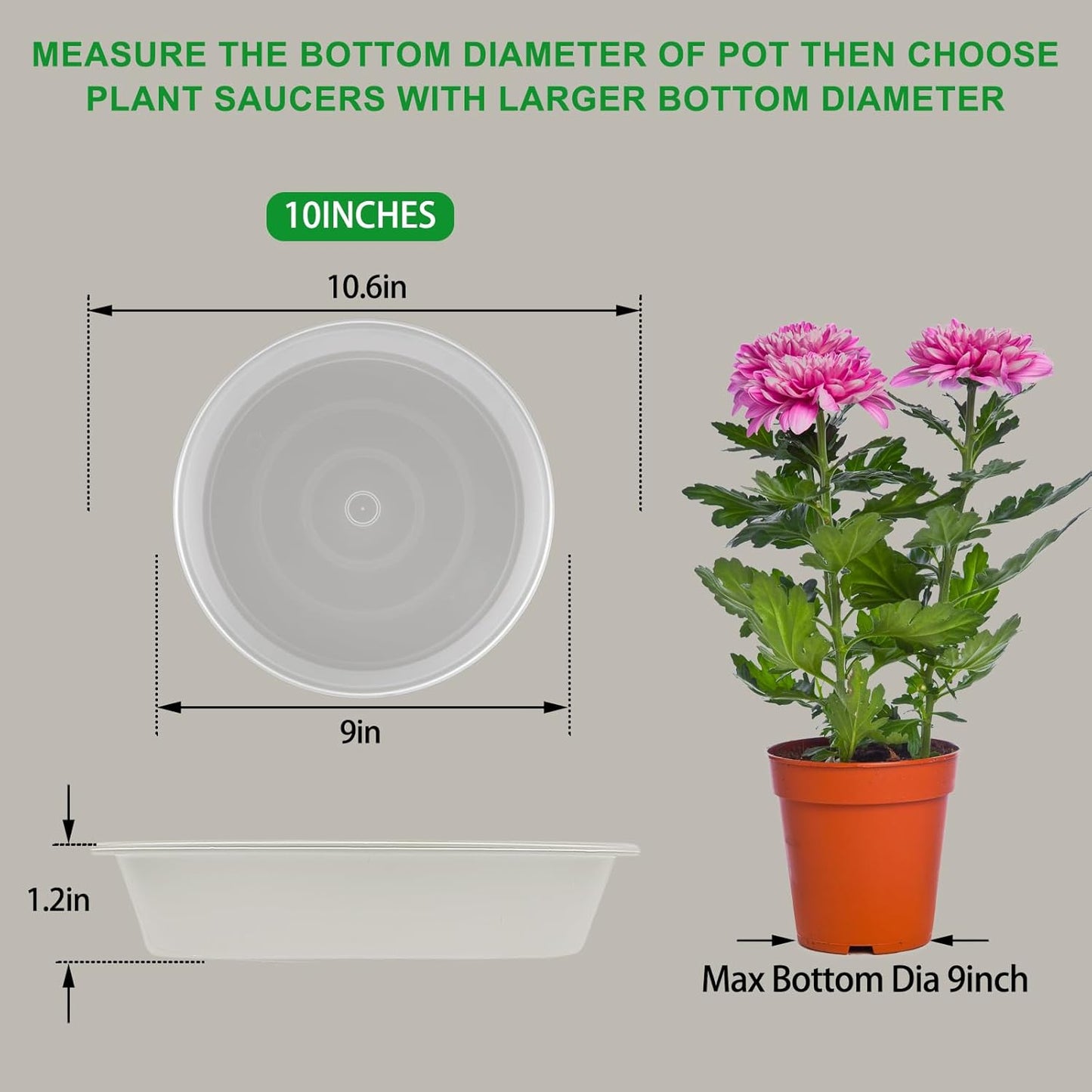 TITE Plant Saucer Heavy Large Planter Durable Thicker Plastic Plant Trays for Indoors and Outdoor,Plant Saucer Drip Trays (Transparent, 10 inch)