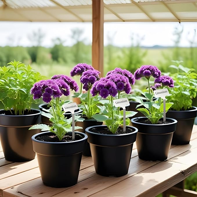 Stainless Steel Plant Labels,Metal Waterproof Plant Markers, Height 12.75 in, Label Area 2.5 in*1.25 in resuable Nursery Tags for Vegetables herb Flower Seed Green House 10-Pack