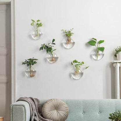 Wall Propagation Planters 6 Pack Glass Wall Planters Propagation Stations Wall Mount Plant Holder Wall Pots for Plants Indoor Wall Hanging Vases Terrariums Indoor Hydroponic Decor