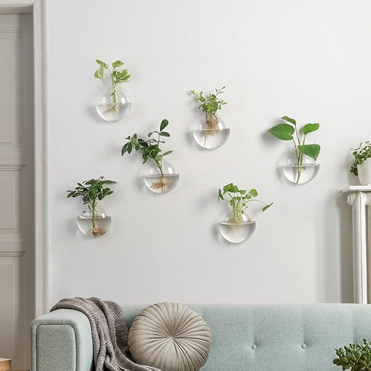 Wall Propagation Planters 6 Pack Glass Wall Planters Propagation Stations Wall Mount Plant Holder Wall Pots for Plants Indoor Wall Hanging Vases Terrariums Indoor Hydroponic Decor