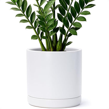 D'vine Dev 8.2 Inch Ceramic Planter Pot with Drainage Hole and Saucer, Indoor Cylinder Round Planter Pot, White, 94-O-D-1