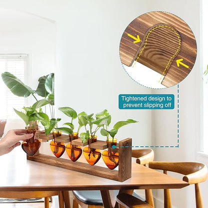 Plant Terrarium Hanging Propagation Stations Gift for Women Air Plants Holder with Wooden Stand Heart Glass