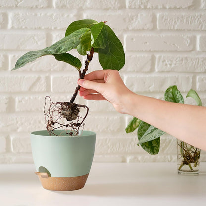 Self Watering Plant Pot with Drainage Hole,Plant Pots Outdoor Flower Pots for Indoor Plants,Modern Green Plastic Self Watering Planters Succulent Pot 7pcs/Set