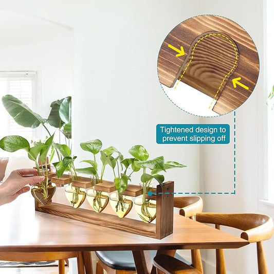 Plant Terrarium Hanging Propagation Stations Gift for Women Air Plants Holder with Wooden Stand Heart Glass