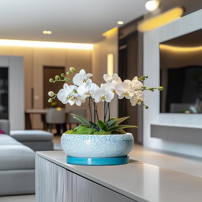 Bonsai Pots 10 Inch - Shallow Ceramic Planters for Indoor Outdoor, Succulent Pots with Drainage Hole and Saucer, Round Planter Bowl, Succulent Planter, Garden Decor, Housewarming Gifts, Blue