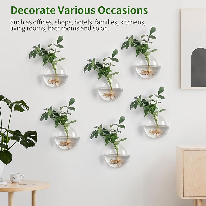 Wall Propagation Planters 6 Pack Glass Wall Planters Propagation Stations Wall Mount Plant Holder Wall Pots for Plants Indoor Wall Hanging Vases Terrariums Indoor Hydroponic Decor