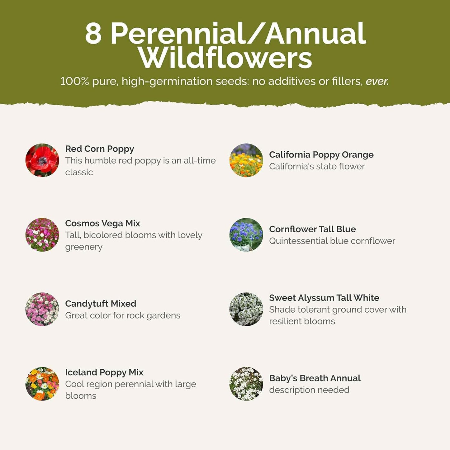 Eden Brothers Rugged Beauty Flower Mixed Seeds for Planting, 1 lb, 480,000+ Seeds with Cornflower Tall Blue, Candytuft | Attracts Pollinators, Plant in Spring or Fall, Zones 3, 4, 5, 6, 7, 8, 9, 10