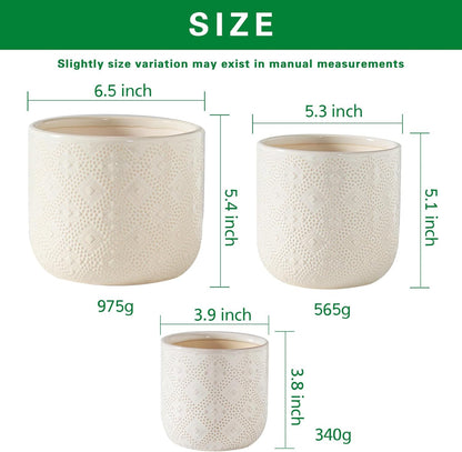 Docrin Ceramic Plant Pots Indoor：6.5+5.3+4 Inch Planters with Drainage Holes for Home /Office - Set of 3 / White