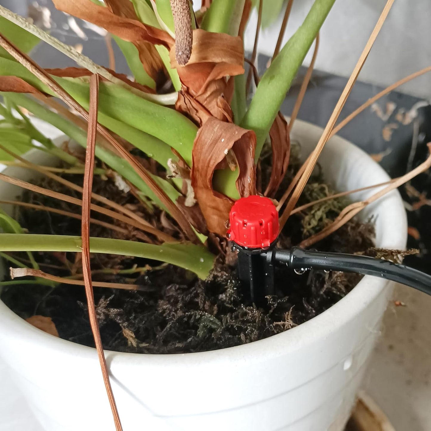 50pcs Drip Irrigation Emitters,Drip Irrigation Parts for 1/4" Drip Irrigation Tubing - Adjustable 360 Degree Water Flow Drippers, Garden Drip Irrigation Drippers for (4-7mm) Watering System