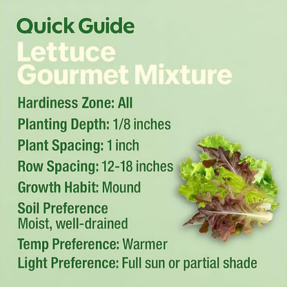 Lettuce Seeds – Gourmet Mixed Greens Blend for Planting | 2300 Bulk Non-GMO USA Heirloom Seeds – Crisp, Fresh & Fast-Growing Garden Variety (Lactuca Sativa)