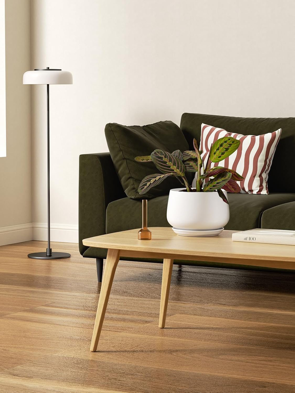 LE TAUCI Ceramic Plant Pots, 4.1+5.1+6.5 inch, Set of 3, Planters with Drainage Hole and Saucer, Indoor Flower Pot with Hole Mesh Pad, Gifts for Mom, White