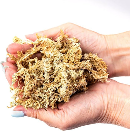 Premium New Zealand Sphagnum Moss by Gardenera - 20 Quart - Organic Hand Mixed Long Fibered Sphagnum Moss Orchid (4 Bags of 5 Quart)