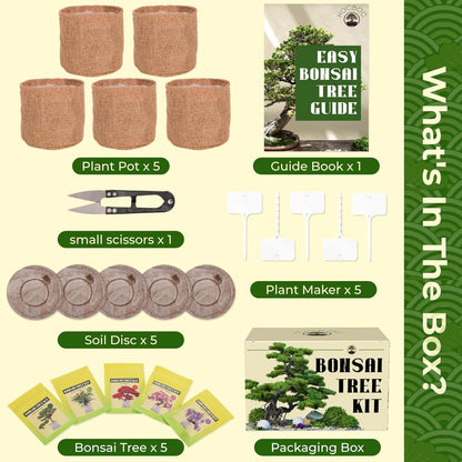 5 Types Bonsai Tree kit - Bonsai Starter Tools Set with Soil, Pots, Scissor, Plant Makers, Grow Tree Indoor, Beginner Plant Gifts for Home Garden, Women, Men